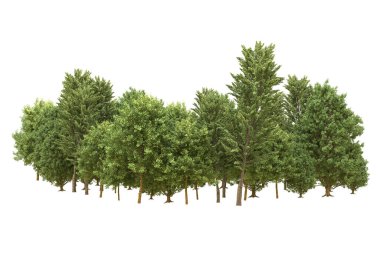 Orman beyaz arka planda izole edilmiş. 3d görüntüleme - illüstrasyon