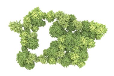 Orman beyaz arka planda izole edilmiş. 3d görüntüleme - illüstrasyon