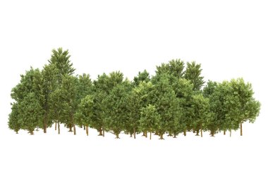 Orman beyaz arka planda izole edilmiş. 3d görüntüleme - illüstrasyon