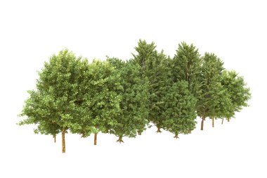 Orman beyaz arka planda izole edilmiş. 3d görüntüleme - illüstrasyon