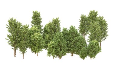 Orman beyaz arka planda izole edilmiş. 3d görüntüleme - illüstrasyon