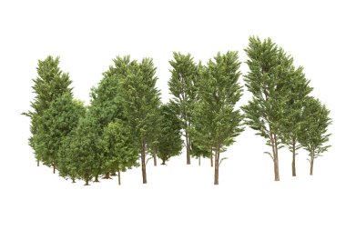 Orman beyaz arka planda izole edilmiş. 3d görüntüleme - illüstrasyon