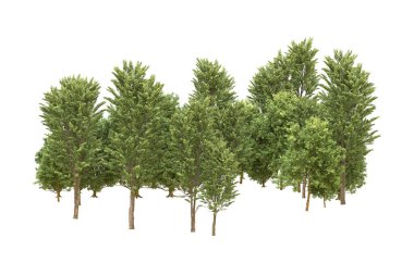 Orman beyaz arka planda izole edilmiş. 3d görüntüleme - illüstrasyon