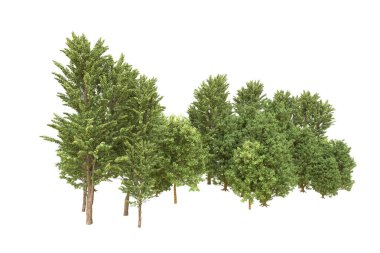 Orman beyaz arka planda izole edilmiş. 3d görüntüleme - illüstrasyon