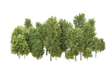 Orman beyaz arka planda izole edilmiş. 3d görüntüleme - illüstrasyon