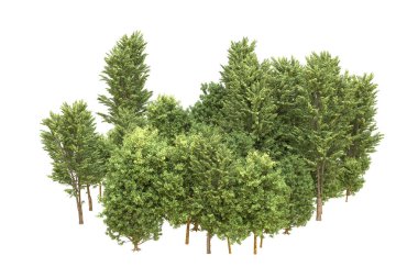 Orman beyaz arka planda izole edilmiş. 3d görüntüleme - illüstrasyon