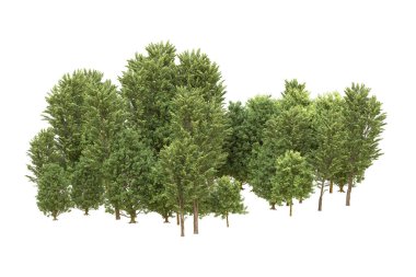 Orman beyaz arka planda izole edilmiş. 3d görüntüleme - illüstrasyon
