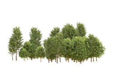Orman beyaz arka planda izole edilmiş. 3d görüntüleme - illüstrasyon