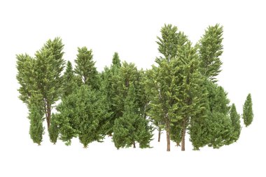 Orman beyaz arka planda izole edilmiş. 3d görüntüleme - illüstrasyon