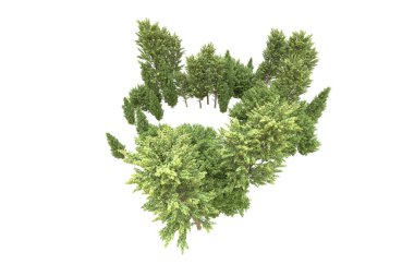 Orman beyaz arka planda izole edilmiş. 3d görüntüleme - illüstrasyon