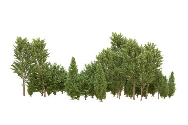 Orman beyaz arka planda izole edilmiş. 3d görüntüleme - illüstrasyon