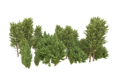 Orman beyaz arka planda izole edilmiş. 3d görüntüleme - illüstrasyon