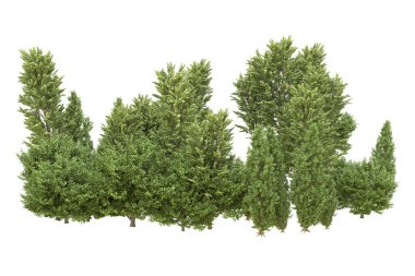 Orman beyaz arka planda izole edilmiş. 3d görüntüleme - illüstrasyon