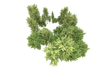 Orman beyaz arka planda izole edilmiş. 3d görüntüleme - illüstrasyon