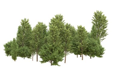 Orman beyaz arka planda izole edilmiş. 3d görüntüleme - illüstrasyon