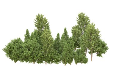 Orman beyaz arka planda izole edilmiş. 3d görüntüleme - illüstrasyon