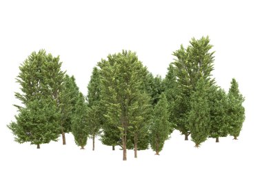 Orman beyaz arka planda izole edilmiş. 3d görüntüleme - illüstrasyon