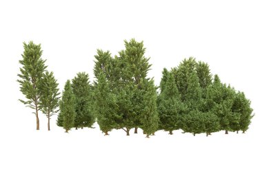 Orman beyaz arka planda izole edilmiş. 3d görüntüleme - illüstrasyon