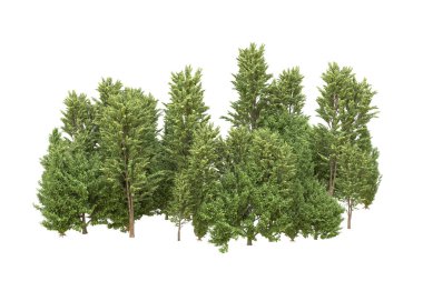Orman beyaz arka planda izole edilmiş. 3d görüntüleme - illüstrasyon
