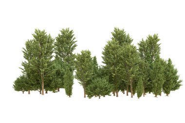 Orman beyaz arka planda izole edilmiş. 3d görüntüleme - illüstrasyon