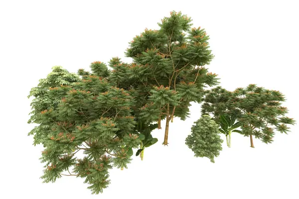 Orman arka planda izole edilmiş. 3d görüntüleme - illüstrasyon