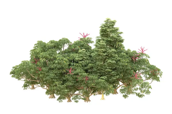 Orman beyaz arka planda izole edilmiş. 3d görüntüleme - illüstrasyon