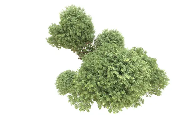 Orman beyaz arka planda izole edilmiş. 3d görüntüleme - illüstrasyon