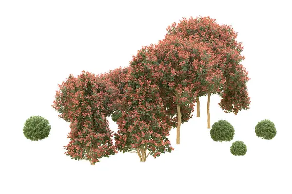 Orman arka planda izole edilmiş. 3d görüntüleme - illüstrasyon