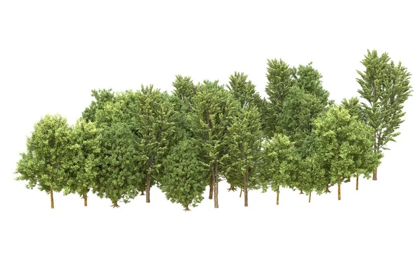Orman beyaz arka planda izole edilmiş. 3d görüntüleme - illüstrasyon