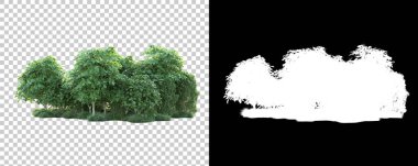 Doğa, arka planda bir maskeyle izole edilmiştir. 3d görüntüleme - illüstrasyon