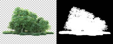 Doğa, arka planda bir maskeyle izole edilmiştir. 3d görüntüleme - illüstrasyon