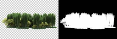 Doğa, arka planda bir maskeyle izole edilmiştir. 3d görüntüleme - illüstrasyon