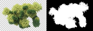 Doğa, arka planda bir maskeyle izole edilmiştir. 3d görüntüleme - illüstrasyon