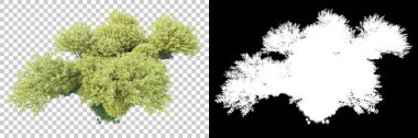 Doğa, arka planda bir maskeyle izole edilmiştir. 3d görüntüleme - illüstrasyon