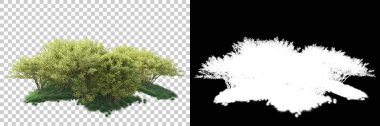 Doğa, arka planda bir maskeyle izole edilmiştir. 3d görüntüleme - illüstrasyon