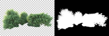 Doğa, arka planda bir maskeyle izole edilmiştir. 3d görüntüleme - illüstrasyon