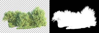 Doğa, arka planda bir maskeyle izole edilmiştir. 3d görüntüleme - illüstrasyon