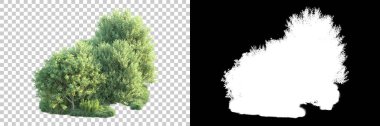 Doğa, arka planda bir maskeyle izole edilmiştir. 3d görüntüleme - illüstrasyon