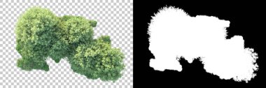Doğa, arka planda bir maskeyle izole edilmiştir. 3d görüntüleme - illüstrasyon