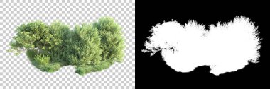 Doğa, arka planda bir maskeyle izole edilmiştir. 3d görüntüleme - illüstrasyon