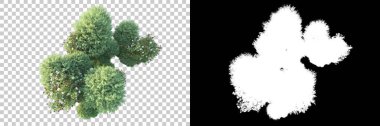 Doğa, arka planda bir maskeyle izole edilmiştir. 3d görüntüleme - illüstrasyon