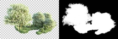 Doğa, arka planda bir maskeyle izole edilmiştir. 3d görüntüleme - illüstrasyon