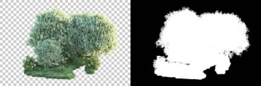 Doğa, arka planda bir maskeyle izole edilmiştir. 3d görüntüleme - illüstrasyon
