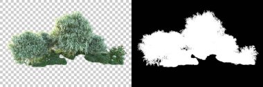 Doğa, arka planda bir maskeyle izole edilmiştir. 3d görüntüleme - illüstrasyon