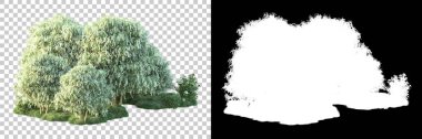 Doğa, arka planda bir maskeyle izole edilmiştir. 3d görüntüleme - illüstrasyon