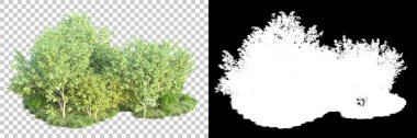 Doğa, arka planda bir maskeyle izole edilmiştir. 3d görüntüleme - illüstrasyon
