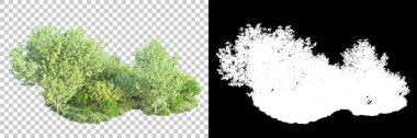 Doğa, arka planda bir maskeyle izole edilmiştir. 3d görüntüleme - illüstrasyon