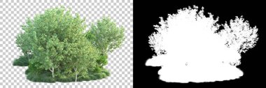Doğa, arka planda bir maskeyle izole edilmiştir. 3d görüntüleme - illüstrasyon