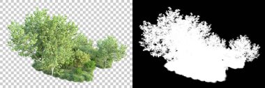 Doğa, arka planda bir maskeyle izole edilmiştir. 3d görüntüleme - illüstrasyon