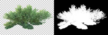 Doğa, arka planda bir maskeyle izole edilmiştir. 3d görüntüleme - illüstrasyon